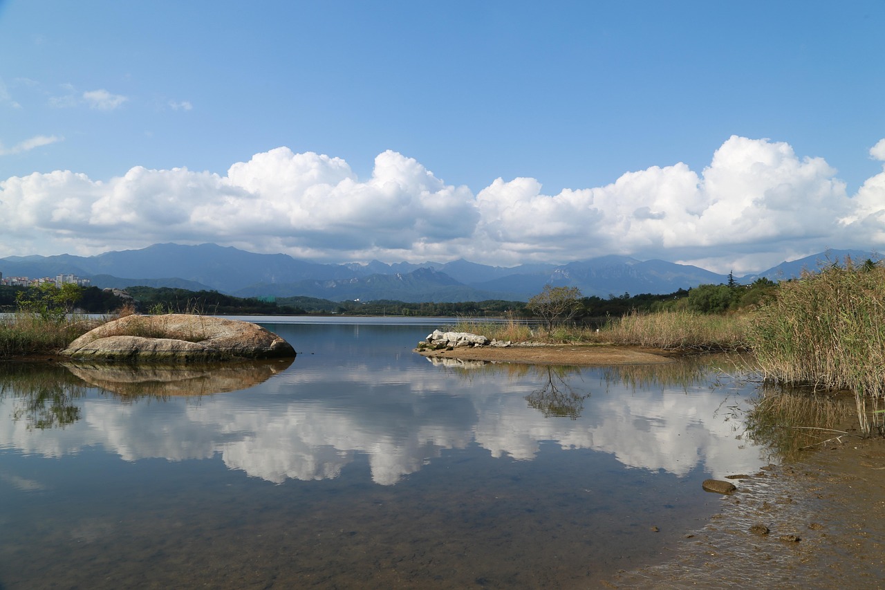 巢湖恒大帝景最新房价动态解析与趋势预测